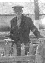  Кибальник А.E.