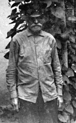  Кибальник А.E.